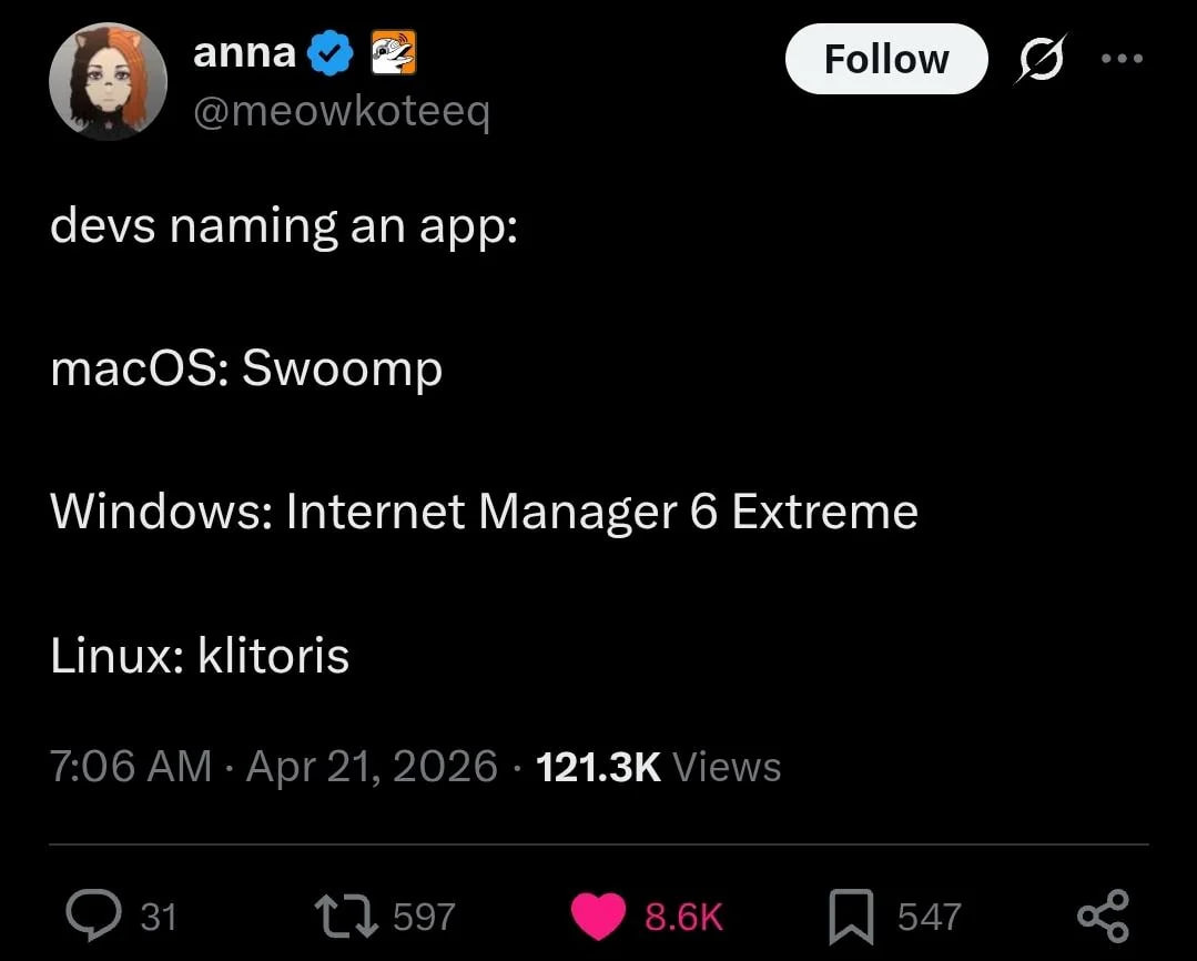 Разработчики называют приложение по-разному: Swoomp для macOS, Internet Manager 6 Extreme для Windows и klitoris для Linux