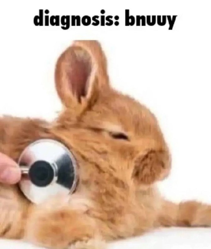 Сонный рыжий кролик с игрушечным глазом и надписью «diagnosis: bnuuy» — «диагноз: кролик».