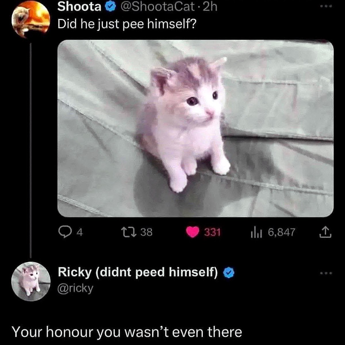 Did he just pee himself? Your honour you wasn't even there Котёнок Рикки оправдывается, что не описался