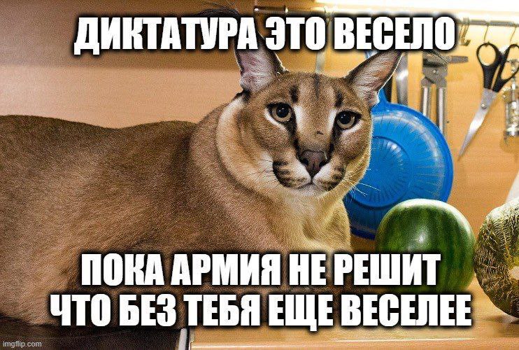 Диктатура это весело Мем с каракалом: Диктатура это весело, пока армия не решит, что без тебя еще веселее