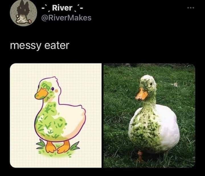 Грязная утка едок Грязная утка едок