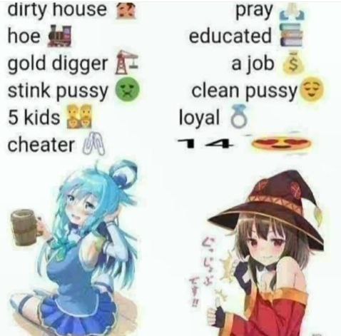 Dirty house vs clean pussy Мем, сравнивающий качества девушек на примере Аква и Мэгумин