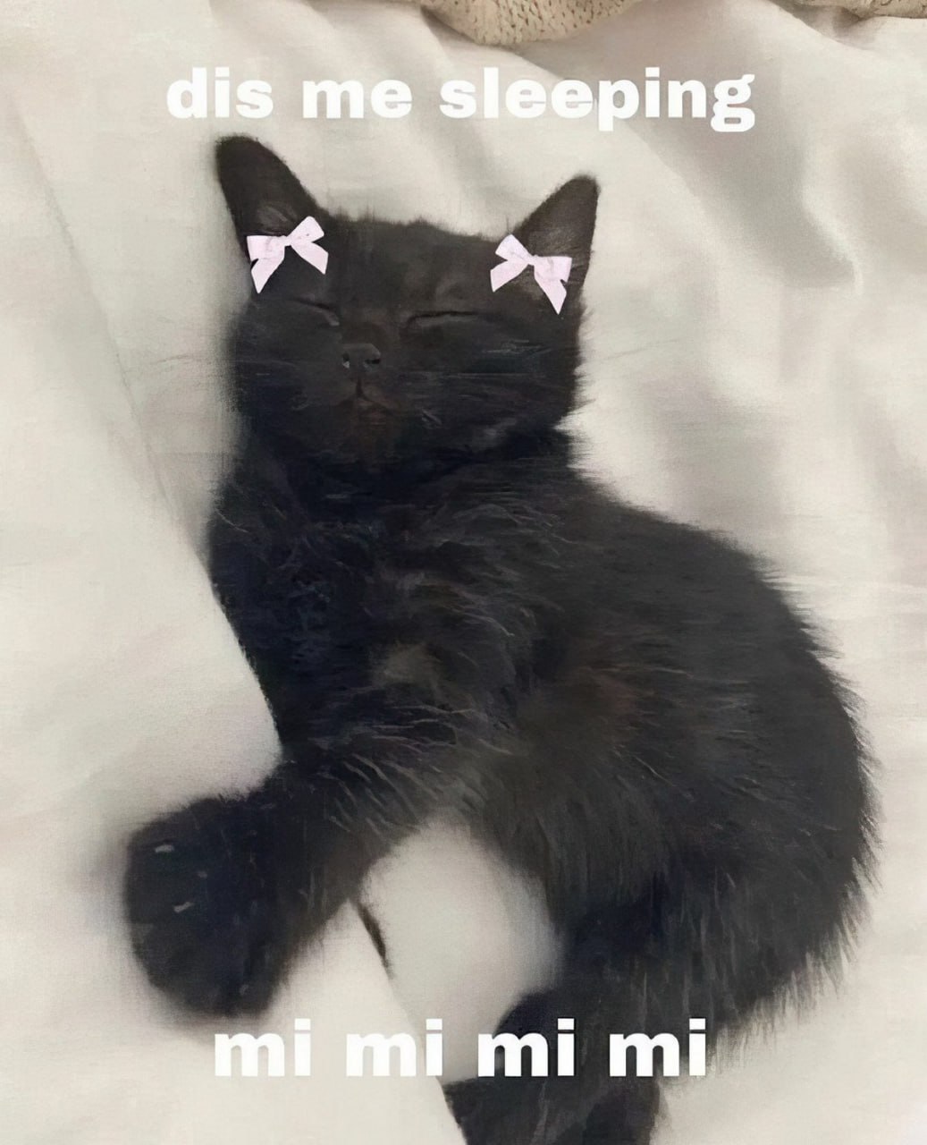 Dis me sleeping mi mi mi Спящий черный котенок с розовыми бантиками и надписью "dis me sleeping mi mi mi mi"