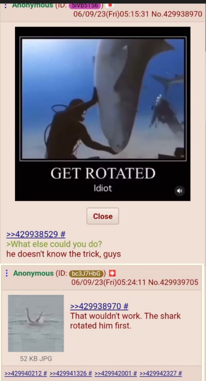 Дайвер крутит акулу Дайвер крутит акулу на видео с надписью «GET ROTATED Idiot»