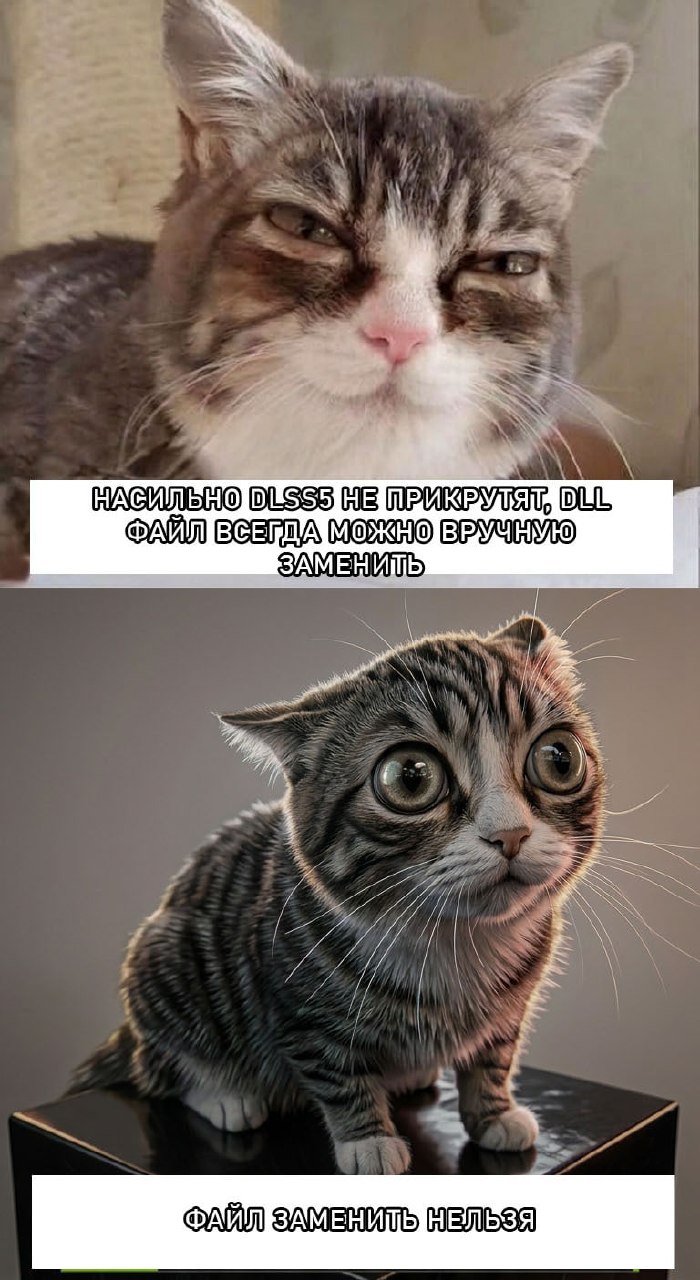 Два кота спорят о DLSS5: один уверен, что DLL-файл всегда можно заменить вручную, а второй отвечает, что файл заменить нельзя.