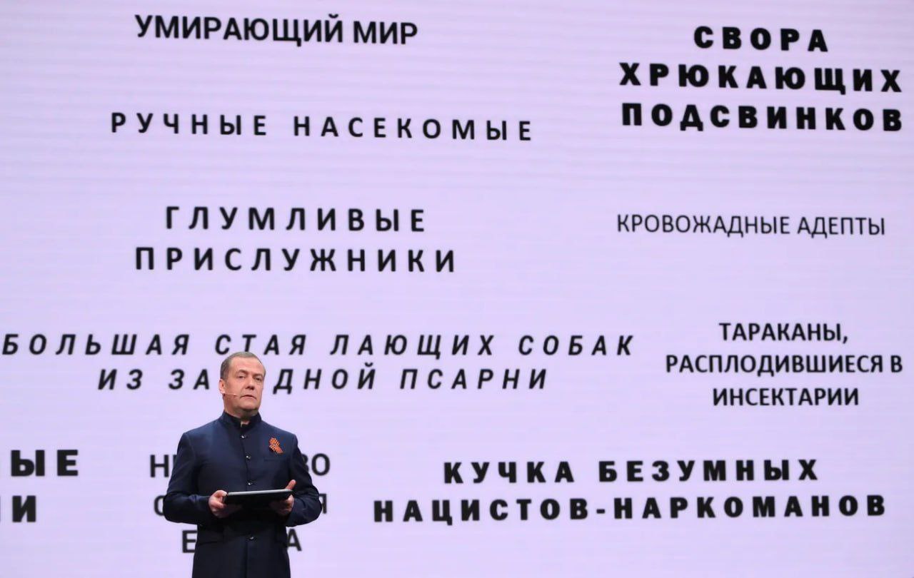 Дмитрий Медведев и оскорбительные слова Дмитрий Медведев на фоне экрана со словами-оскорблениями