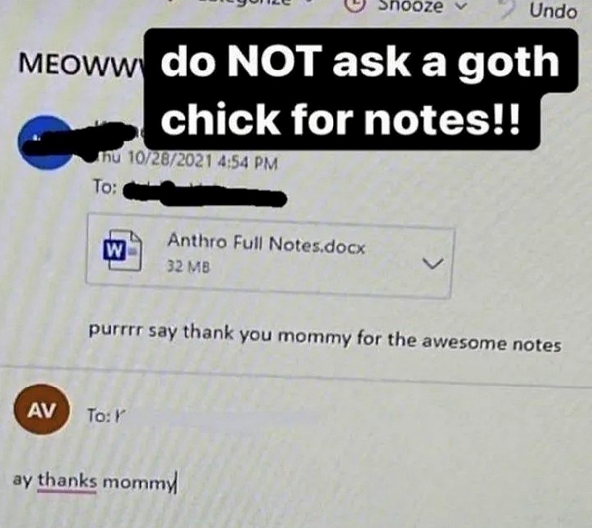 Do NOT ask a goth chick for notes Мем, где готка просит сказать «спасибо, мамочка» за конспект