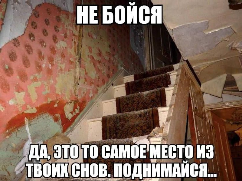Не бойся, да, это то самое место из твоих снов Мем "Не бойся, да, это то самое место из твоих снов. Поднимайся..." на фоне заброшенной лестницы с обшарпанными стенами