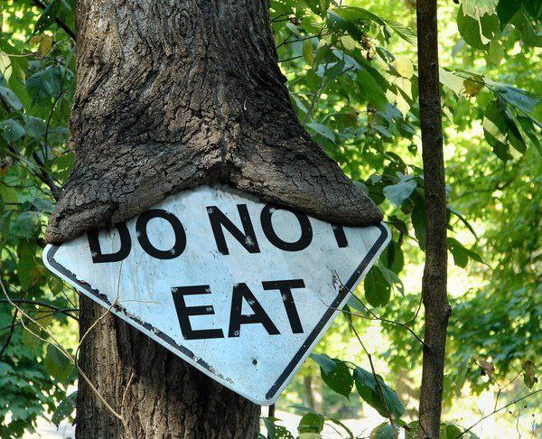 Знак DO NOT EAT поглощен деревом Знак "Не есть", поглощенный деревом