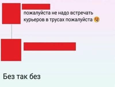 Пожалуйста не надо встречать курьеров в трусах пожалуйста Мем с надписью «пожалуйста не надо встречать курьеров в трусах пожалуйста. Без так без» в стиле переписки.