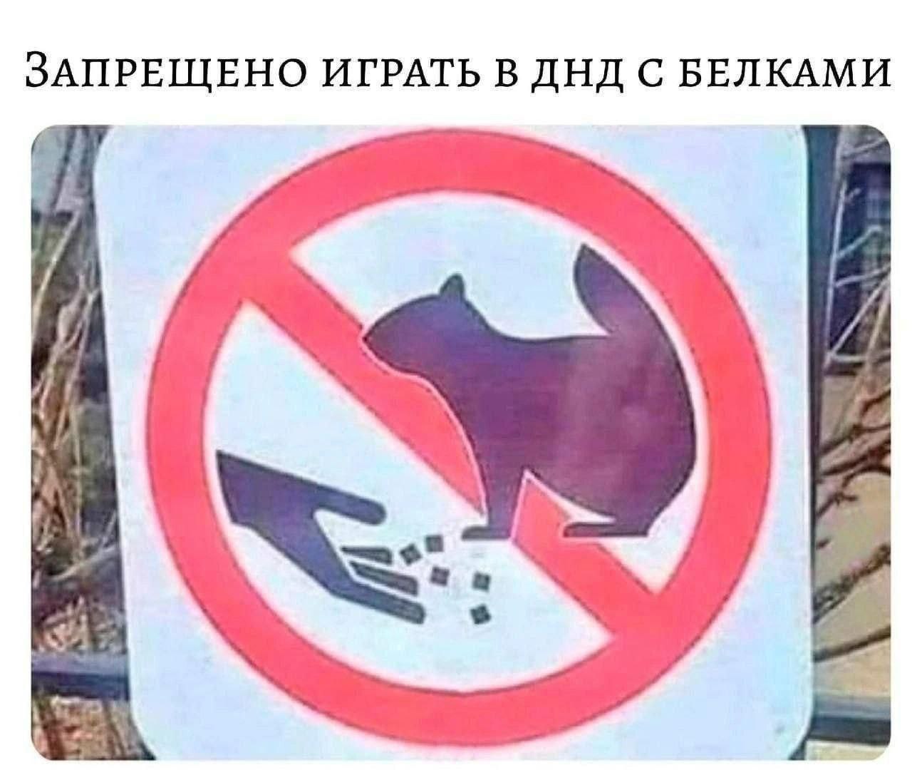 Запрещено играть в ДНД с белками Запрещено играть в ДНД с белками, знак запрета кормления белок, похожий на процесс игры в Dungeons and Dragons.