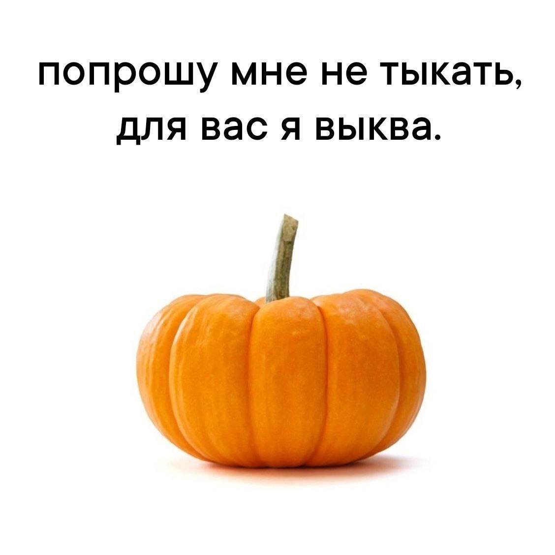 Попрошу мне не тыкать, для вас я выква Мем с тыквой, которая говорит: "Попрошу мне не тыкать, для вас я выква"