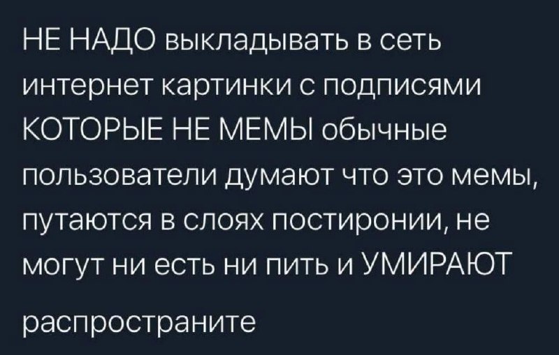 НЕ НАДО выкладывать в сеть интернет картинки с подписями КОТОРЫЕ НЕ МЕМЫ Мем с текстом призывом не выкладывать в сеть картинки с подписями, которые не являются мемами, потому что обычные пользователи путаются в слоях постиронии, не могут ни есть ни пить и умирают.