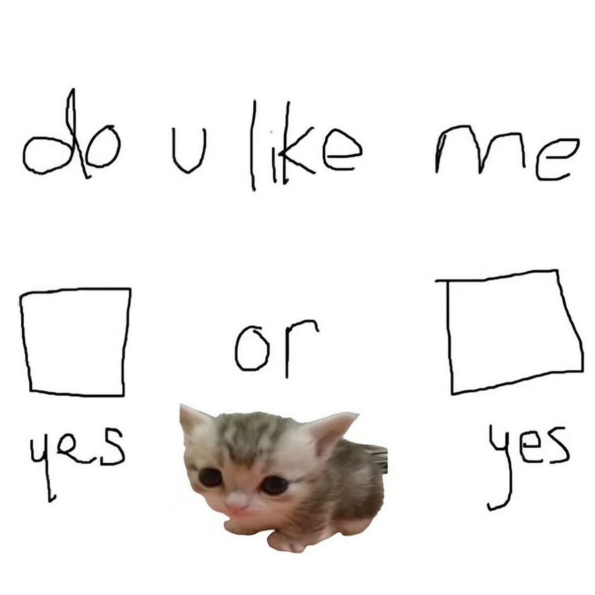 Do u like me? Or. Yes. Yes. Мем с грустным котенком и надписью "Do u like me? Or. Yes. Yes."