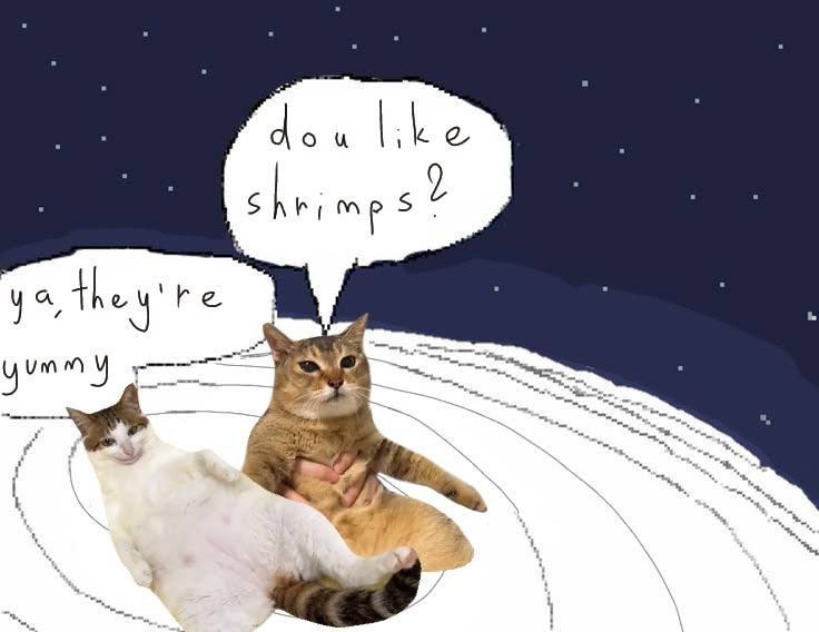 Два кота разговаривают о креветках: «Do u like shrimps?» — «Ya, they're yummy».
