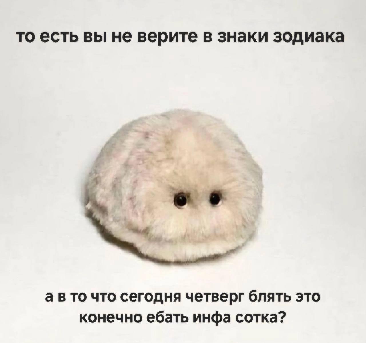 Вы не верите, что сегодня четверг Мем с пушистым существом, которое спрашивает, верите ли вы в то, что сегодня четверг