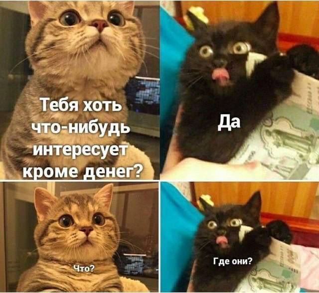 Тебя хоть что-нибудь интересует кроме денег Кот, который спрашивает, интересует ли что-то кроме денег, и чёрный кот, который отвечает «да», а потом «где они»