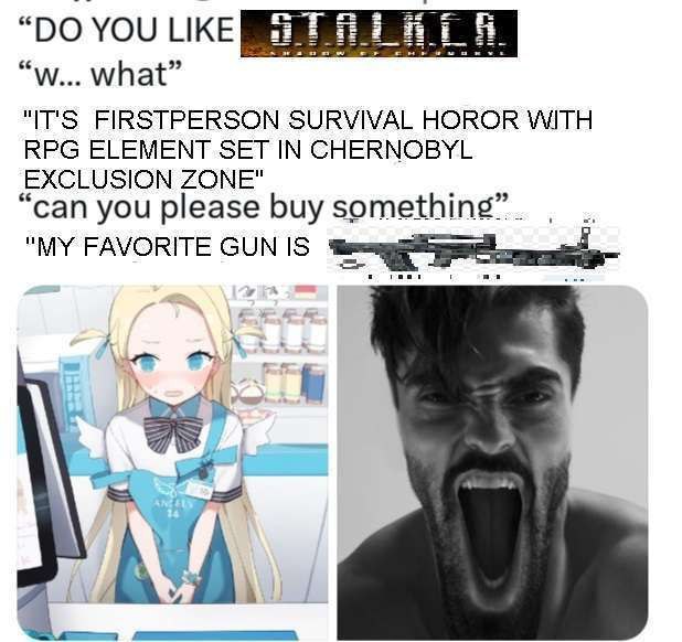 Do you like Stalker Do you like Stalker, w-what, it's first-person survival horror with RPG element set in Chernobyl exclusion zone, can you please buy something, my favorite gun is...
