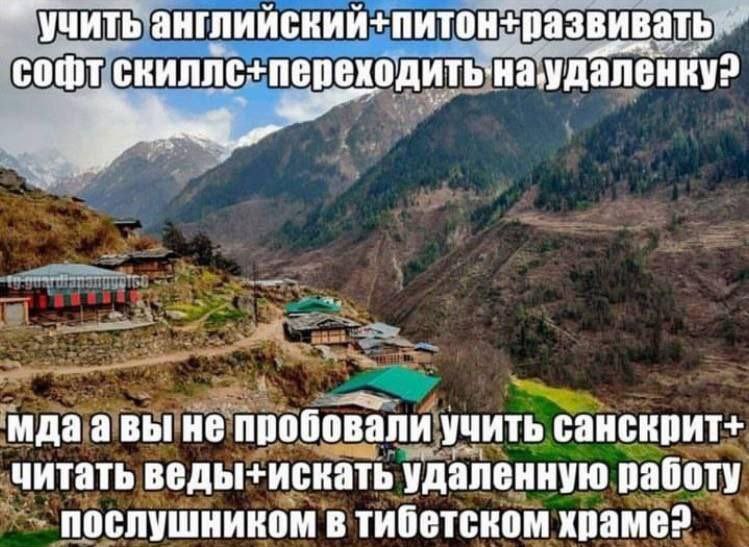 Вы не пробовали учить санскрит Мемасик, демонстрирующий, что не стоит усложнять свою жизнь, пытаясь овладеть множеством софт и хард скиллов, а стоит просто уехать в Тибетский храм и там искать удалёнку.