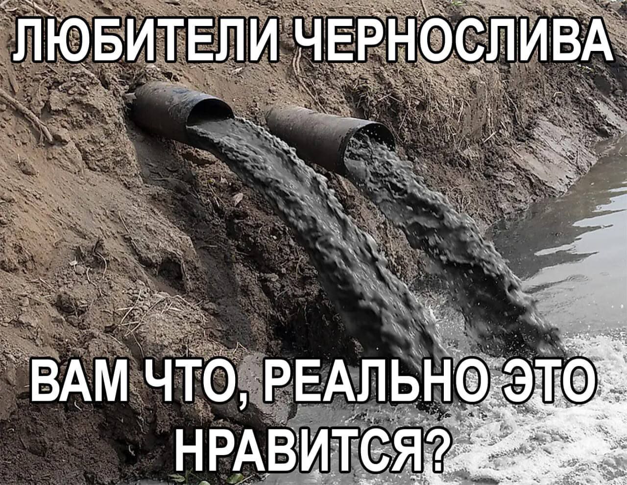 Любители чернослива, вам что, реально это нравится Две трубы, из которых выливается темная жидкость, с надписью «Любители чернослива, вам что, реально это нравится?»