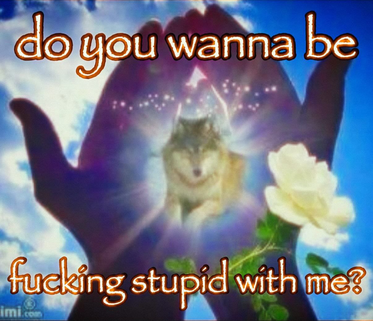 Do you wanna be fucking stupid with me Мем с парящим волком и руками на голубом фоне с надписью: «Do you wanna be fucking stupid with me?»