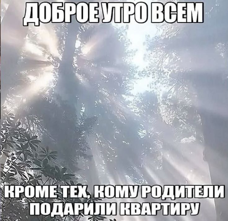 Доброе утро всем, кроме тех, кому родители подарили квартиру Доброе утро всем, кроме тех, кому родители подарили квартиру
