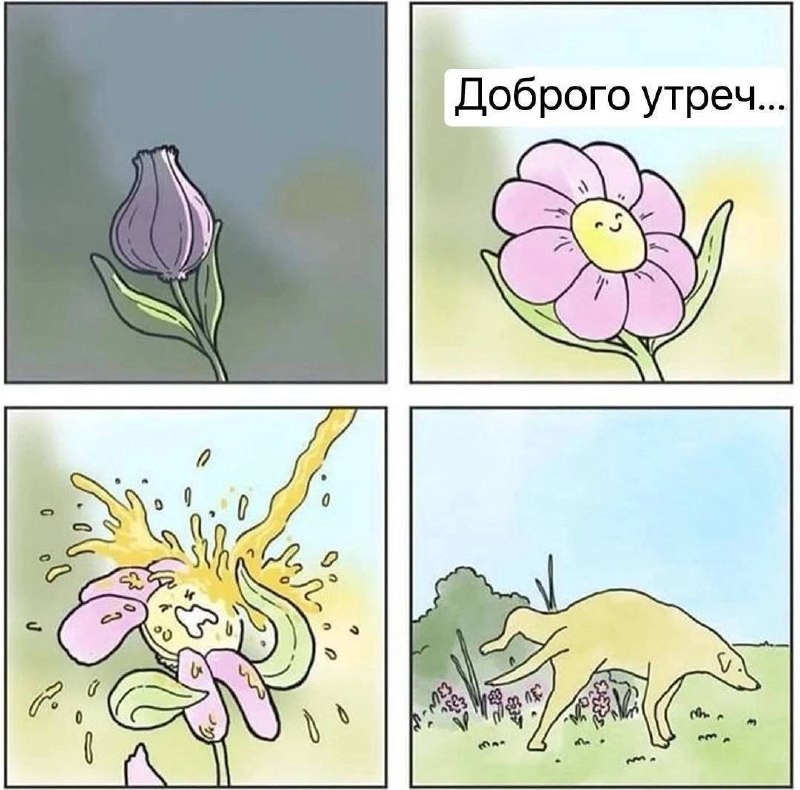 Доброго утреч Цветок, на который мочится собака