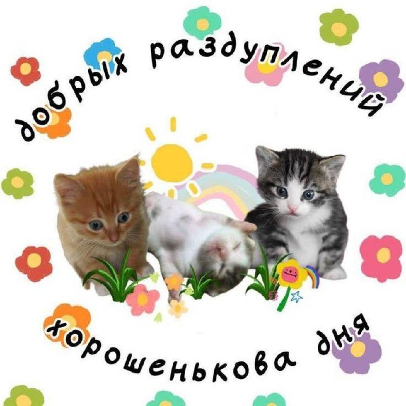 Добрых раздуплений, хорошенькова дня Мем с тремя маленькими котятами, солнышком, радугой и цветочками, подпись "Добрых раздуплений, хорошенькова дня"