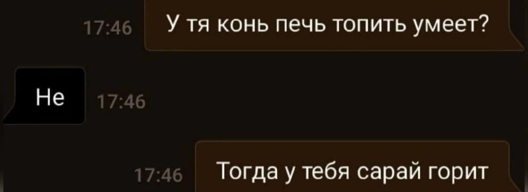 У тя конь печь топить умеет Скриншот переписки с вопросом про коня и печь, и забавным ответом про горящий сарай.