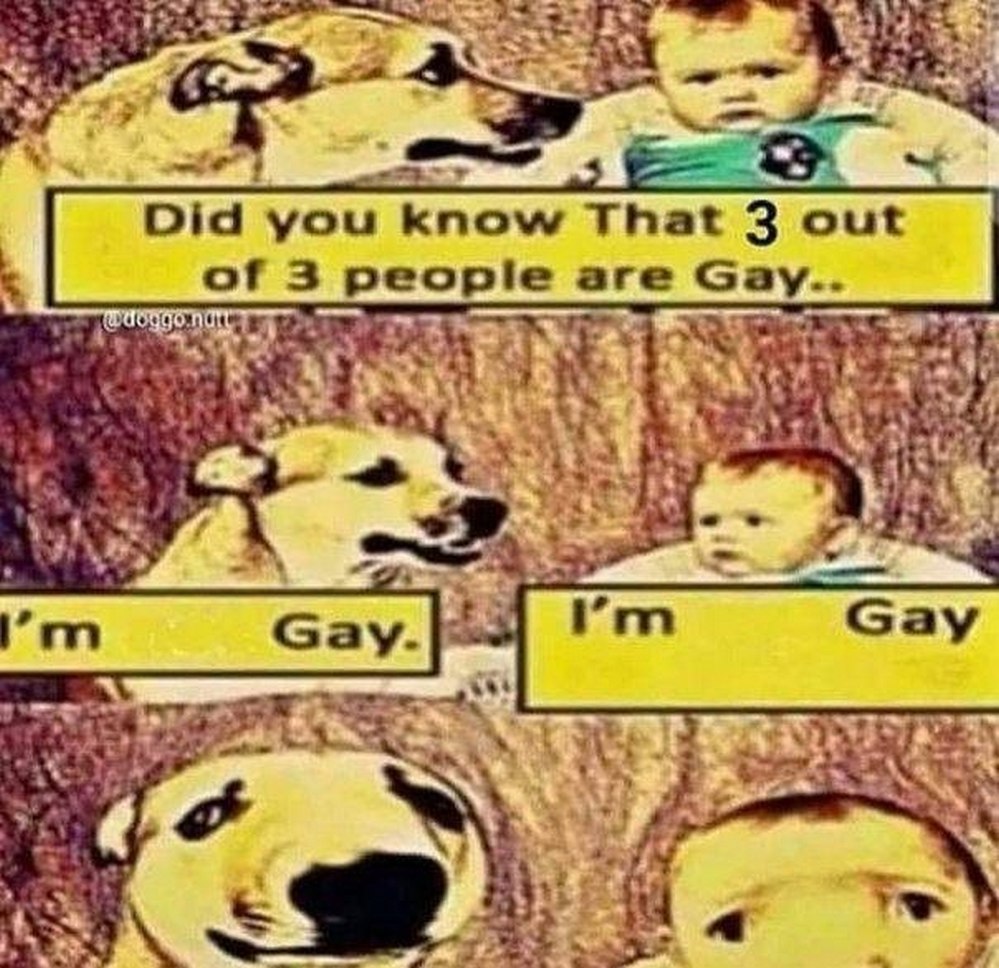 Собака и ребенок: Did you know that 3 out of 3 people are Gay Мем про собаку и ребенка, где собака говорит: Did you know that 3 out of 3 people are Gay
