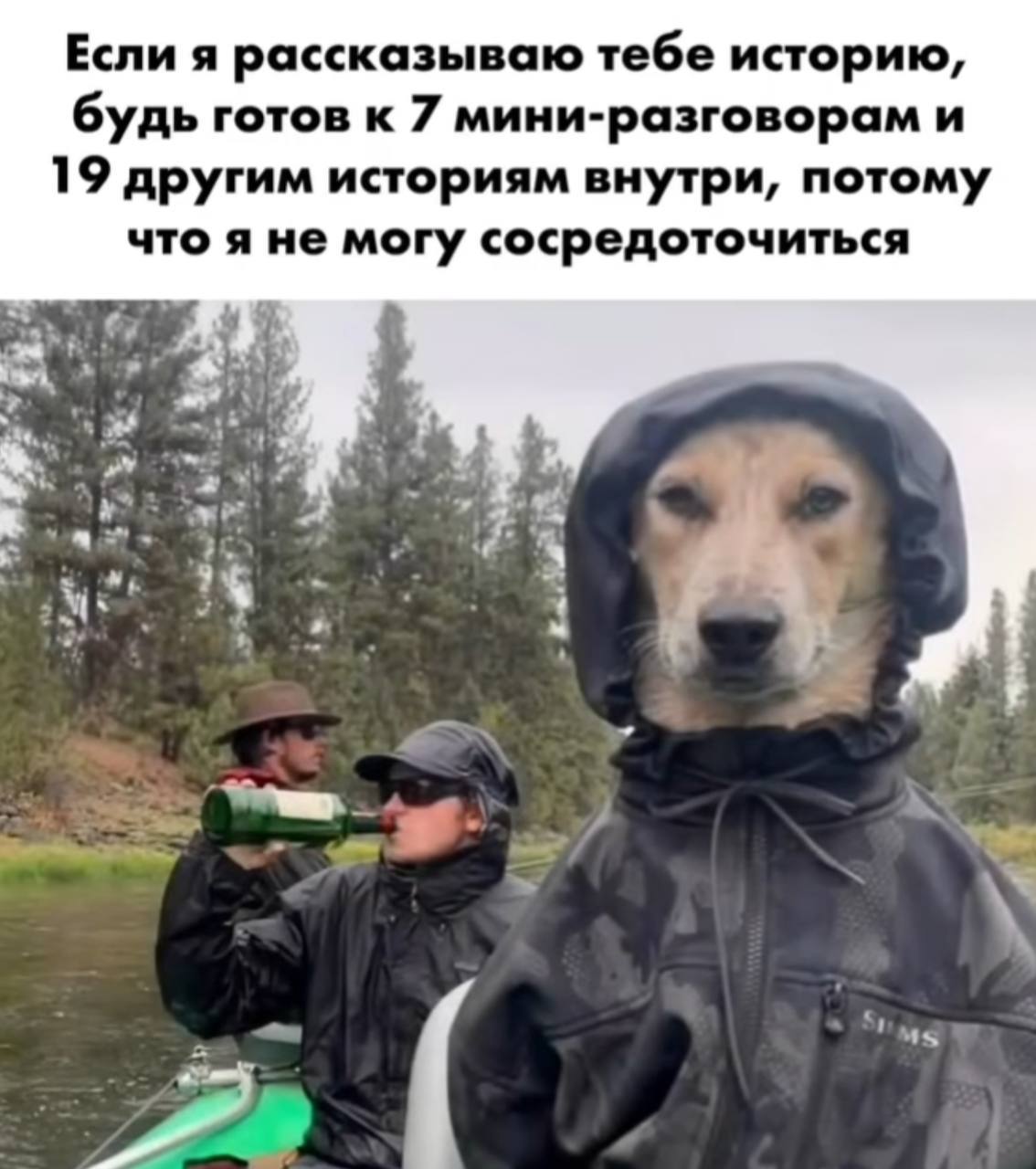 Собака в капюшоне Собака в капюшоне с текстом о неспособности сосредоточиться.