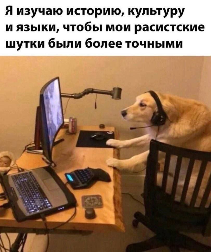 Собака в наушниках за компьютером Собака в наушниках сидит за компьютером, изучая историю, культуру и языки