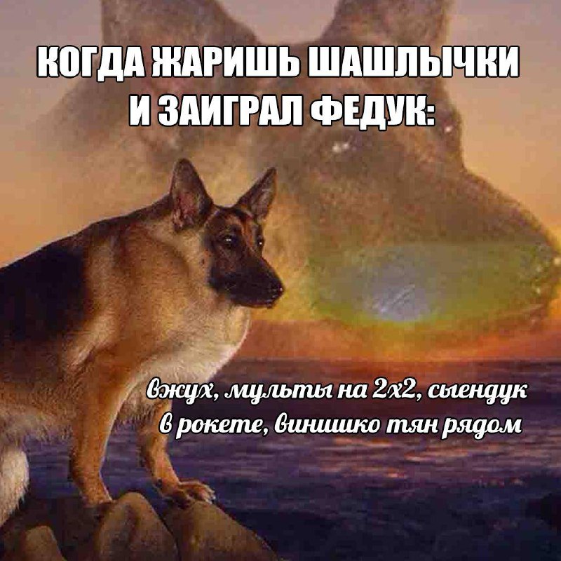 Собака, когда заиграл Федук Мем с собакой, которая кайфует от музыки Федука и шашлычков