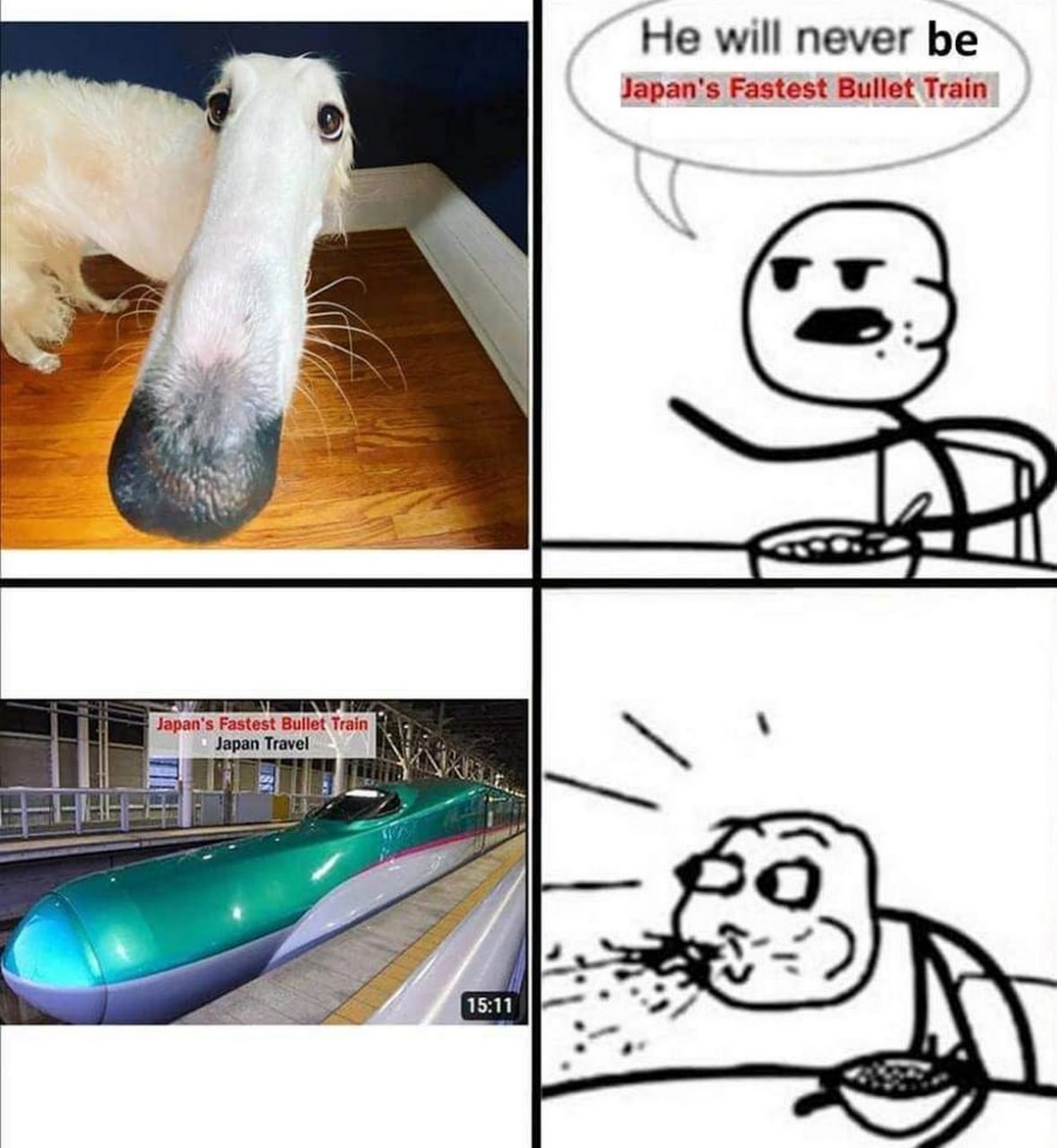 Собака с длинной мордой He will never be Japan's Fastest Bullet Train Мем с борзой собакой и её вытянутой мордой, сравнение с самым быстрым поездом Японии