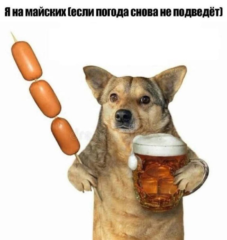Собака с сосисками и пивом Собака держит сосиски на палочке и кружку пива, готовясь к майским праздникам, если погода не подведёт.
