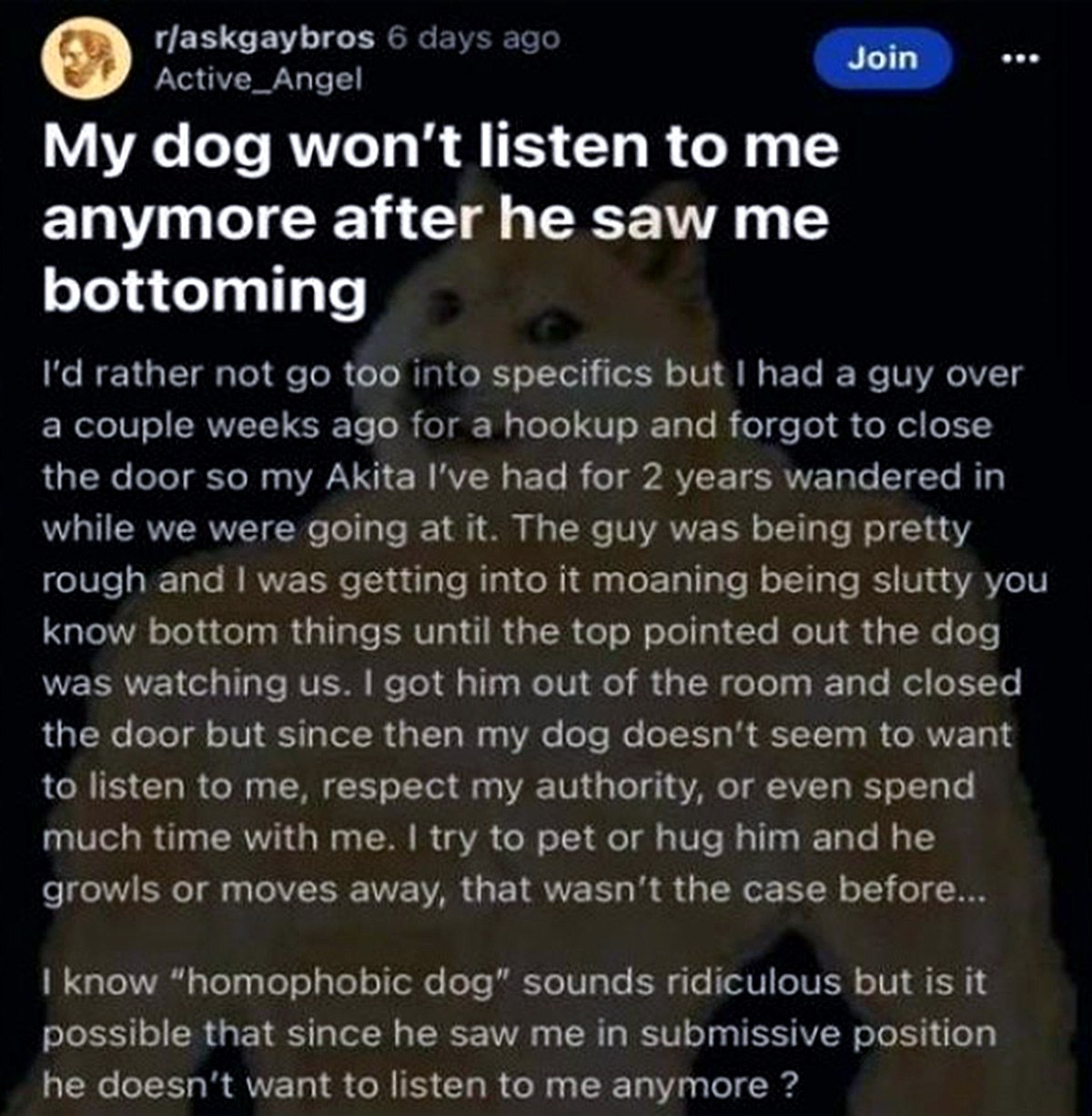 My dog won't listen to me anymore after he saw me bottoming Собака перестала слушаться после того, как увидела хозяина в подчиненной позе