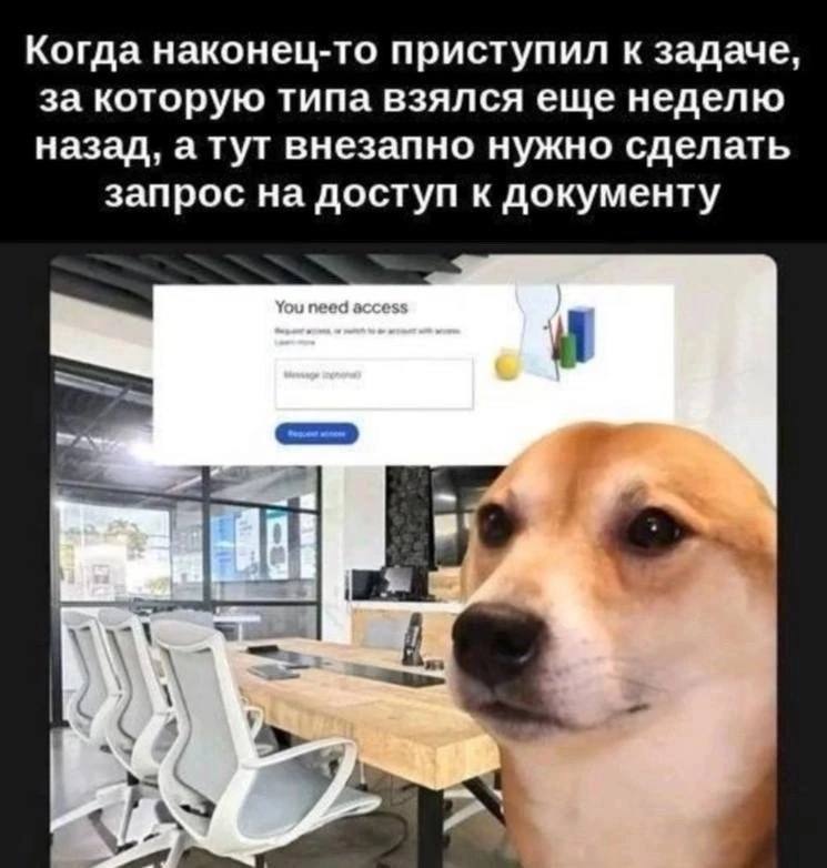 Собака Вам нужен доступ Мем с собакой, которая смотрит на сообщение «Вам нужен доступ», когда она наконец-то приступила к задаче