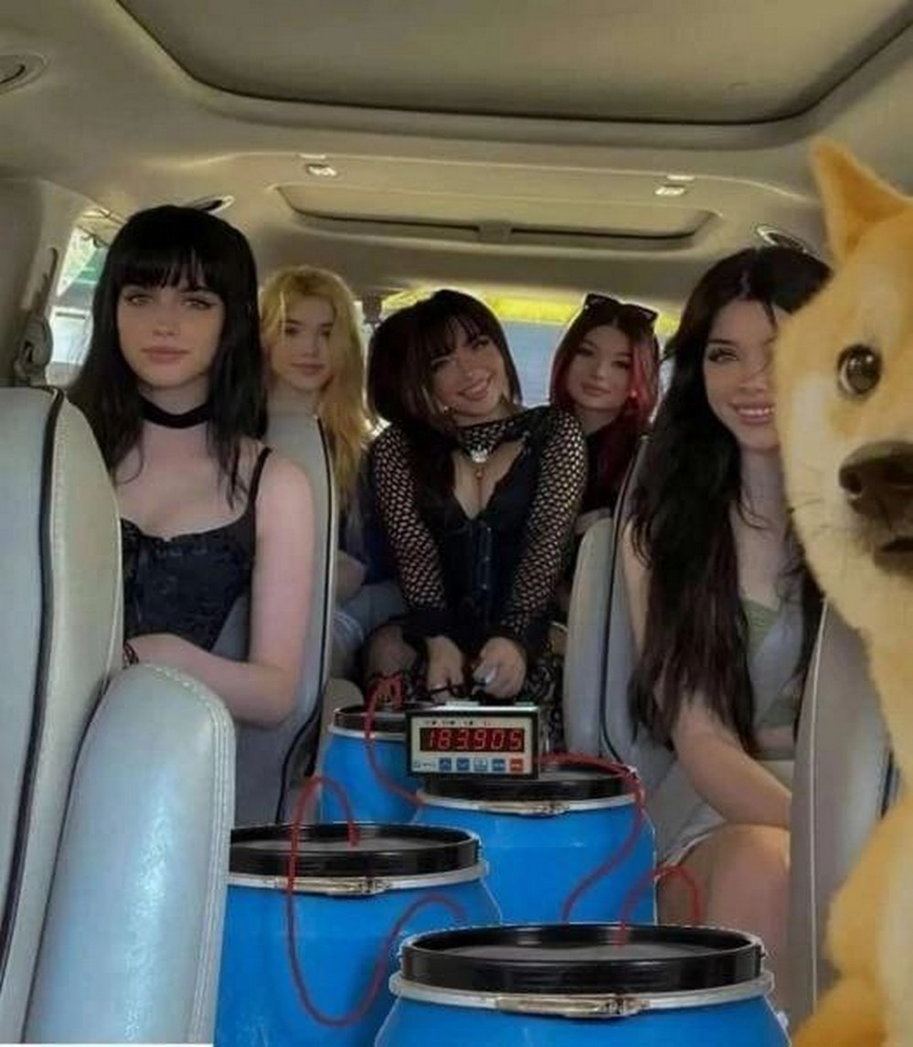 Doge и девушки с бочками топлива Doge и девушки-подростки в машине с бочками топлива