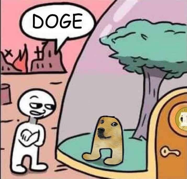 Doge в колбе Мем с человеком, показывающим на Доге в колбе, говоря «Doge»