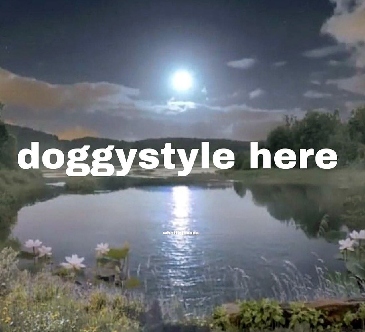 Доггистайл здесь Мем с надписью «doggystyle here» на фоне красивого ночного пейзажа с озером и луной