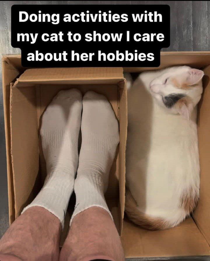 Doing activities with my cat Человек сидит в коробке вместе со спящей кошкой, показывая, что он заботится о её увлечениях.
