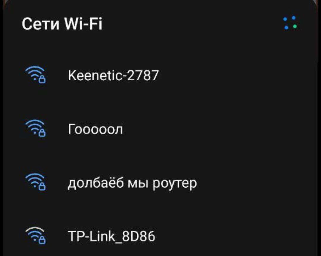 Долбаёб мы роутер Мем с названиями Wi-Fi сетей, включая "долбаёб мы роутер" и "Гооооол"