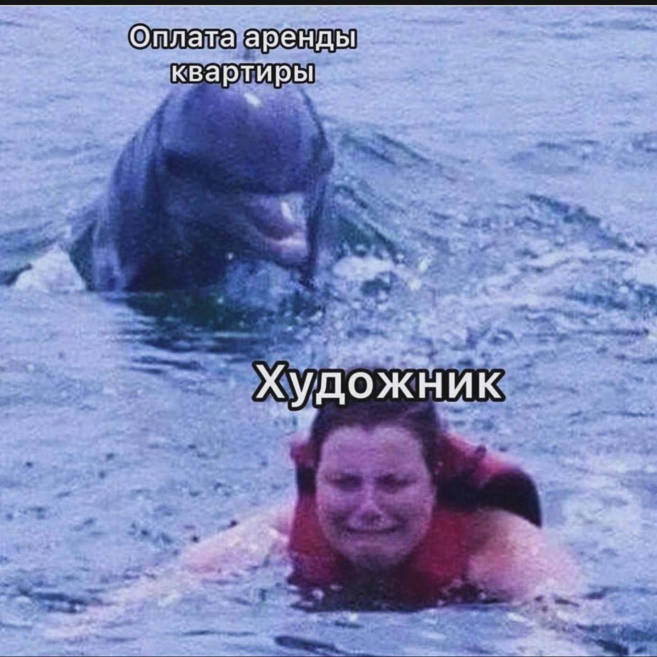 Дельфин и тонущий художник Мем с дельфином, выпрыгивающим из воды, и тонущим человеком, подписанный как «Оплата аренды квартиры» и «Художник»