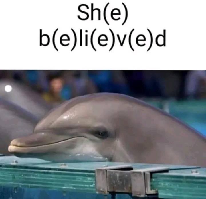 Dolphin staring, "Sh(e) b(e)li(e)v(e)d" Мем с дельфином, который смотрит прямо перед собой, и текстом "Sh(e) b(e)li(e)v(e)d"