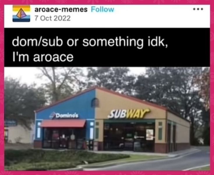 Здание с Domino’s и Subway и надписью «dom/sub or something idk, I'm aroace» — шутка про термины dom и sub и аромантичную асексуальность.