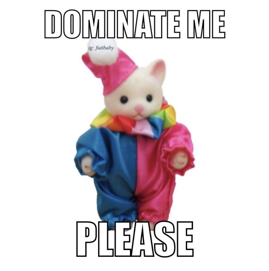 Милый котёнок в костюме клоуна с надписью «DOMINATE ME PLEASE» — «Доминируй надо мной, пожалуйста».