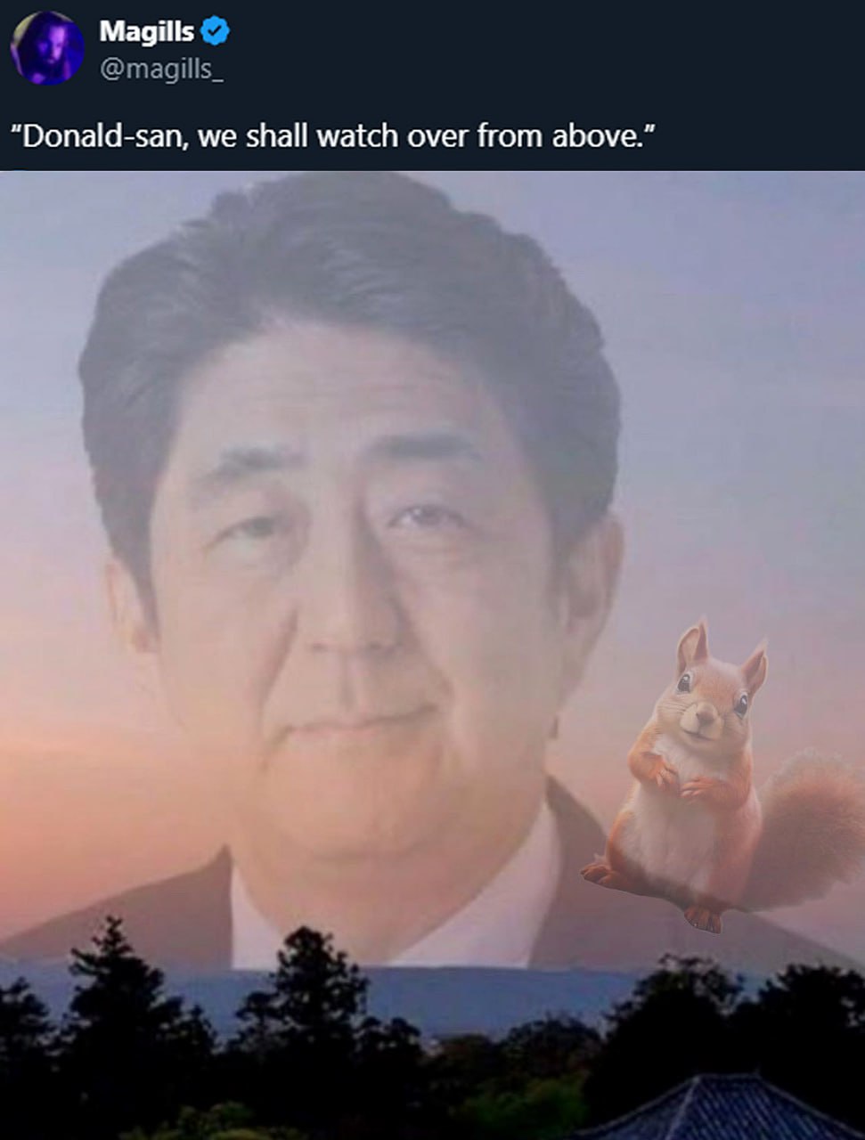 Donald-san, we shall watch over from above Мем с Синдзо Абэ и белкой, смотрящими сверху