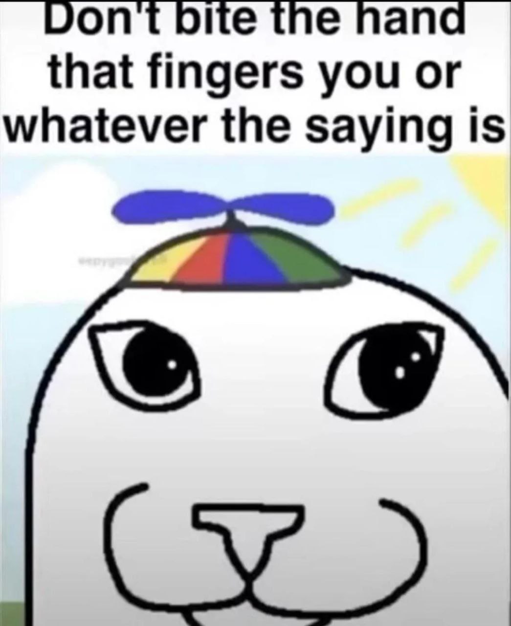 Don't bite the hand that fingers you Мем с фразой «Don't bite the hand that fingers you or whatever the saying is» и милым тюленем в шапке с пропеллером