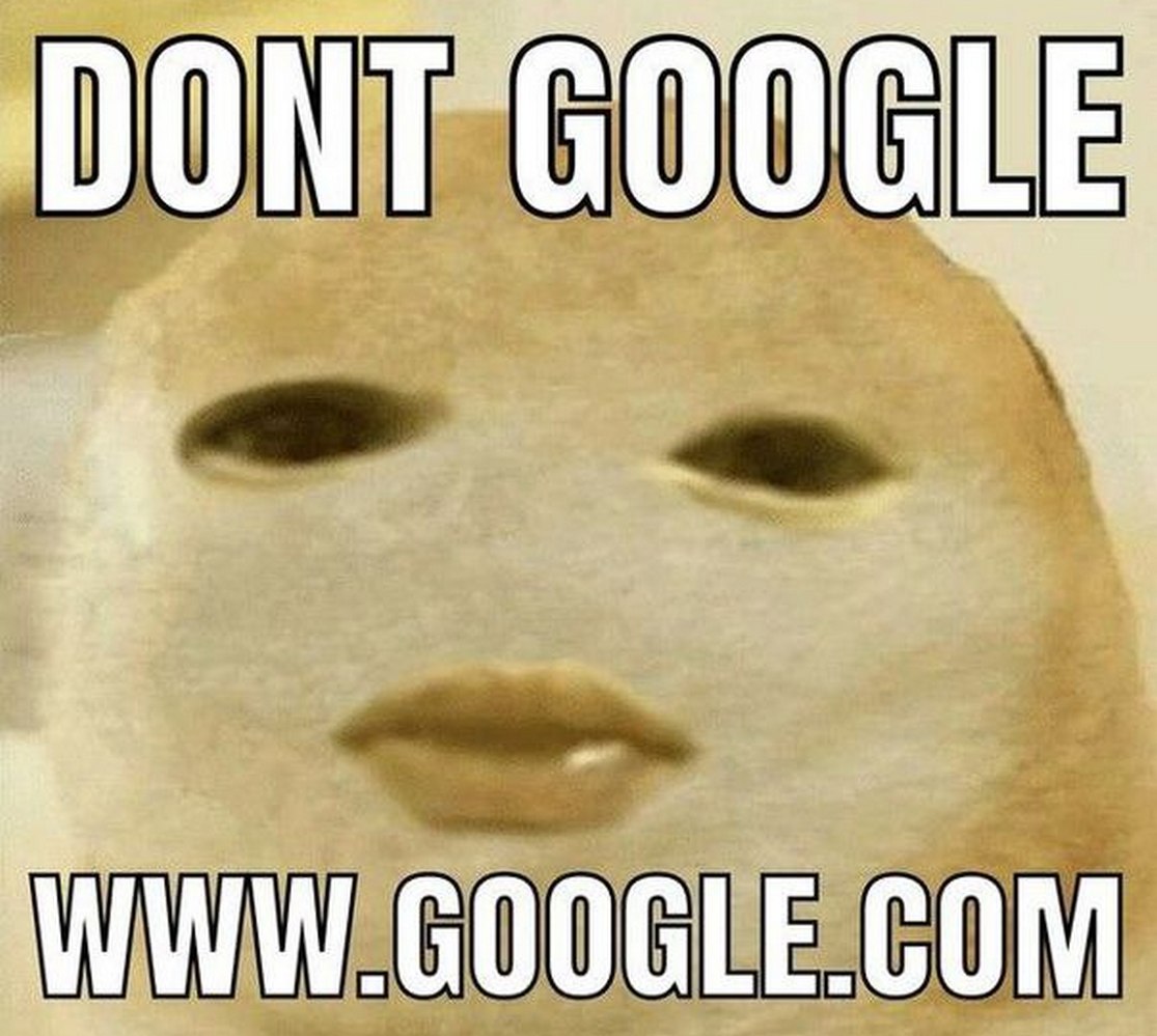 Dont Google Мем с головой собаки сиба-ину и надписью "Dont Google"