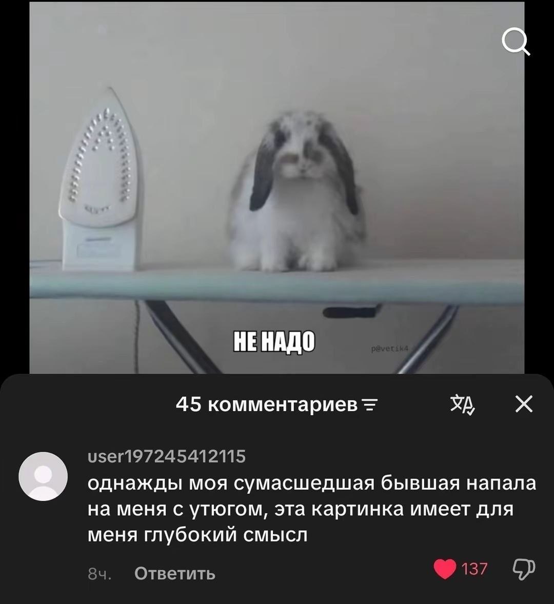 Белый кролик сидит рядом с утюгом, а подпись внизу предупреждает: «НЕ НАДО».